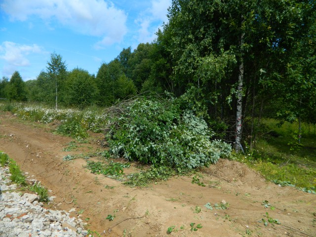 Удаление деревьев