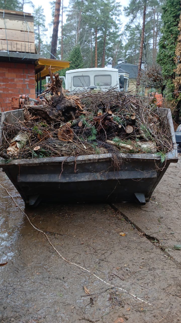 Погрузка спила в контейнеры